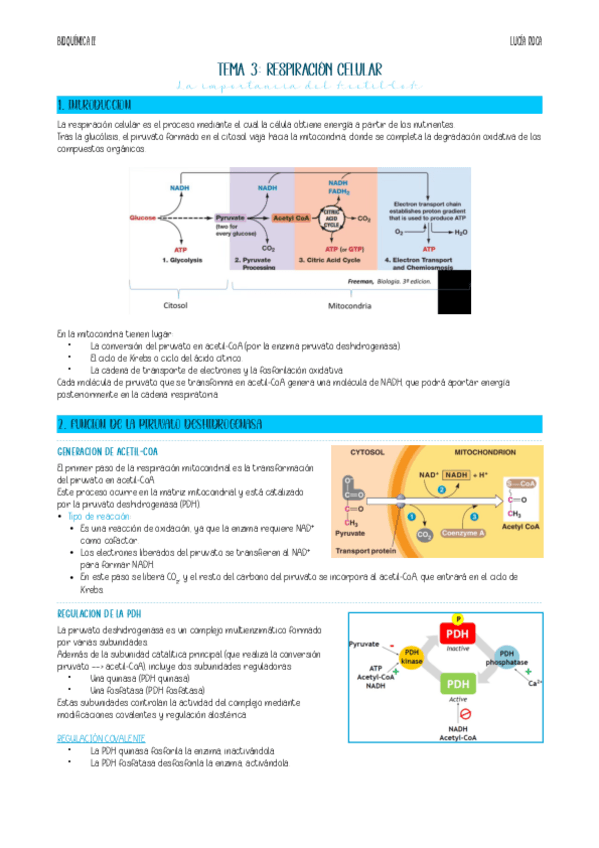 Miniatura del documento apunts-bioq-II-tema-3.pdf
