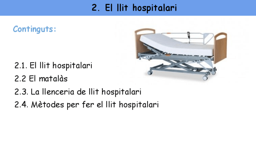 Miniatura del documento 2.-El-llit-hospitalari.pdf