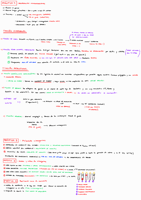 Miniatura del documento RESUMEN-PRACTICAS-LABORATORIO.pdf