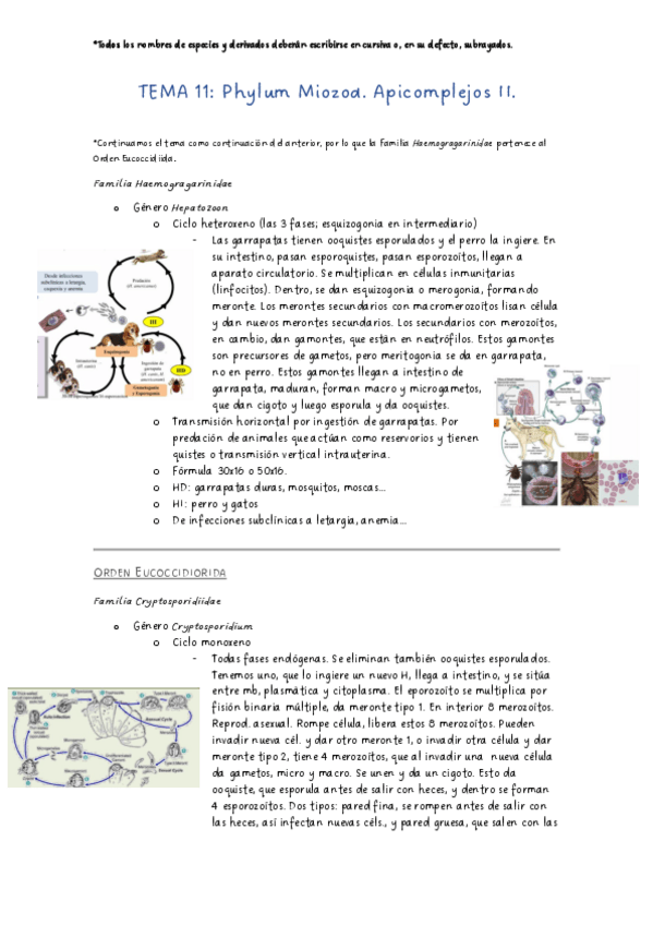 Miniatura del documento Parasitologia-tema-11.pdf