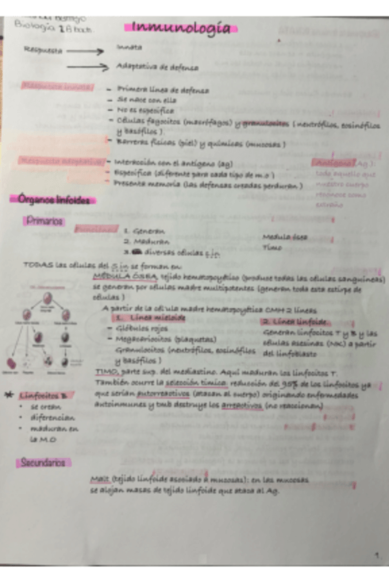 Miniatura del documento inmunologia-2-bach-1-parte.pdf