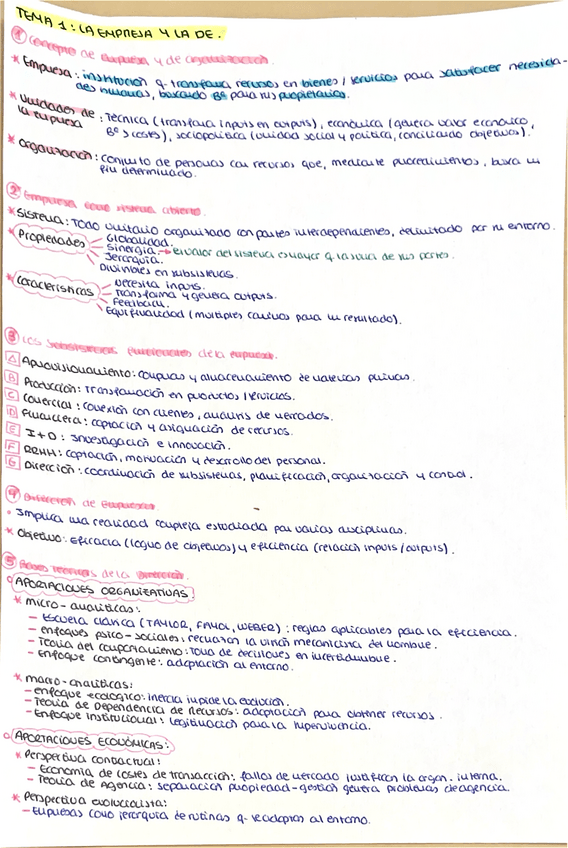 Miniatura del documento RESUMEN TEMA-1.pdf.pdf