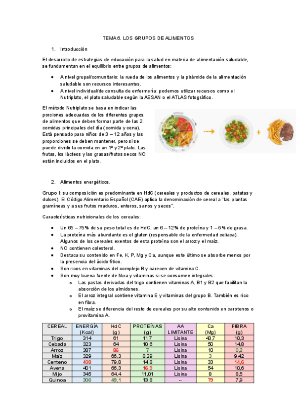 Miniatura del documento Tema-6.-Los-grupos-de-alimentos.pdf