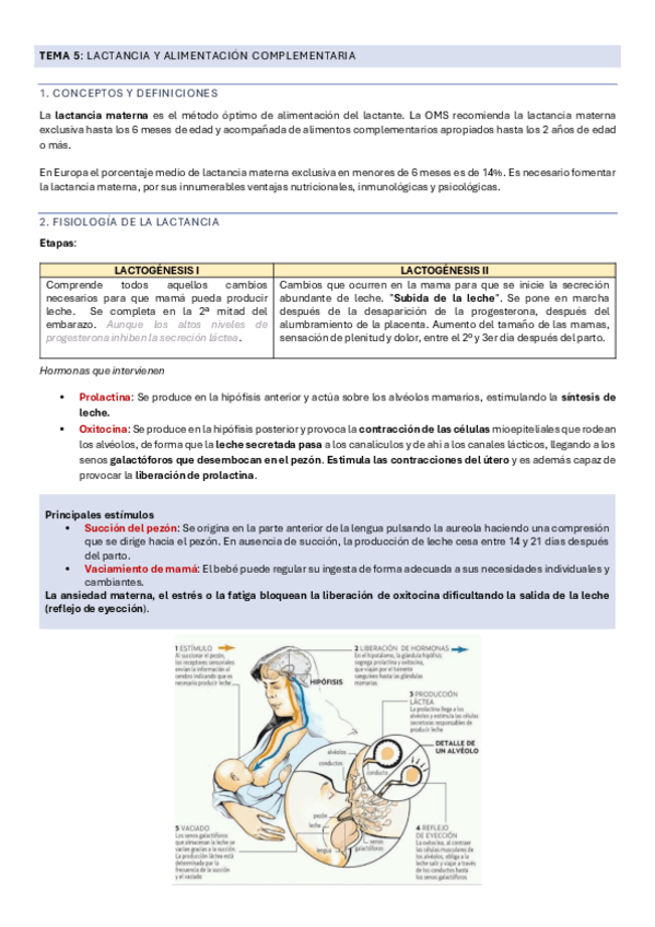 Miniatura del documento BLOQUE-2.-TEMA-5J6J7J8.pdf