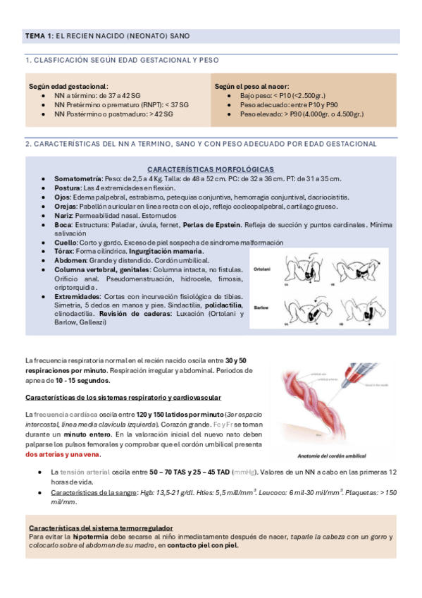 Miniatura del documento BLOQUE-2.pdf
