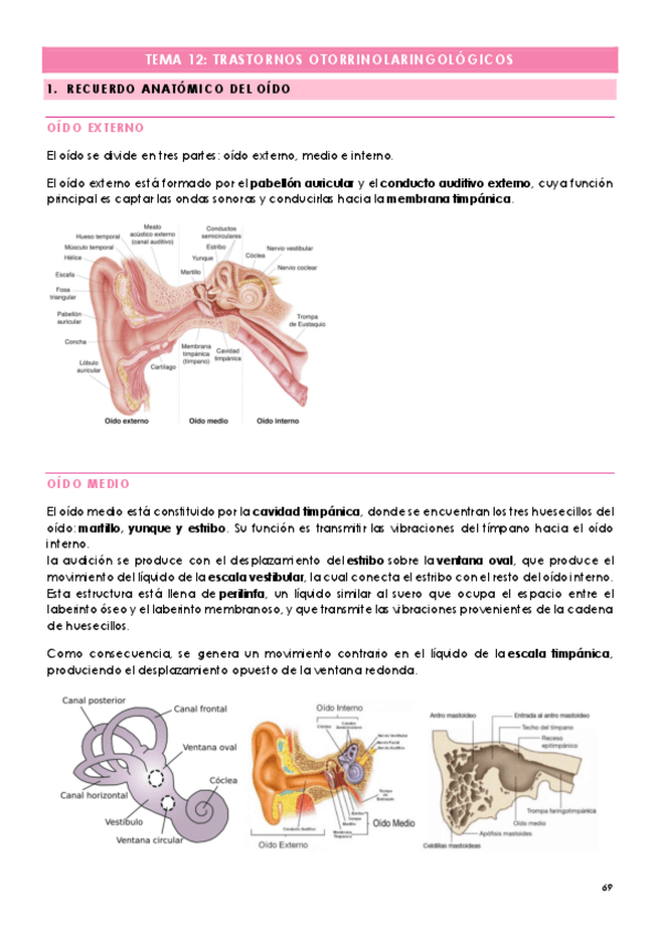 Miniatura del documento TEMA-12-TRASTORNOS-OTORRINOLARINGOLOGICOS.pdf