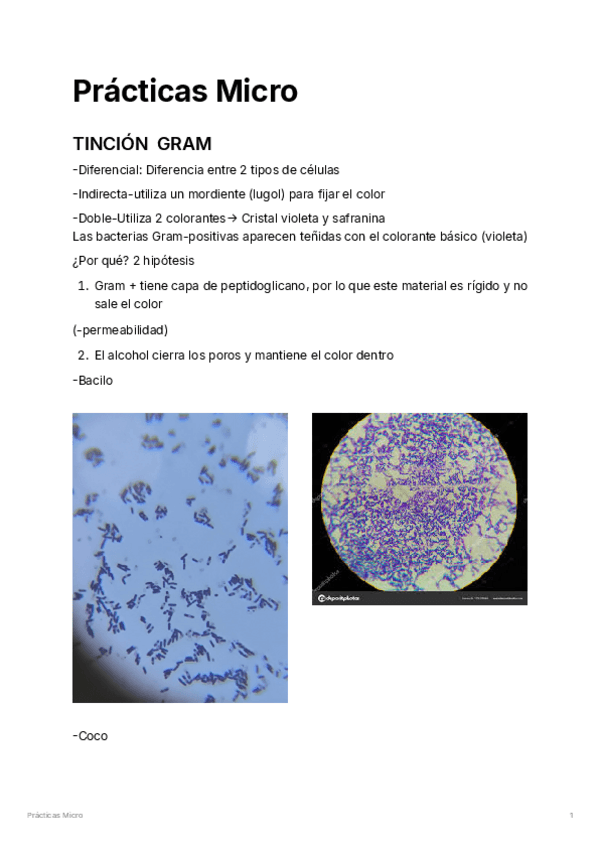 Miniatura del documento PrctsMicro.pdf