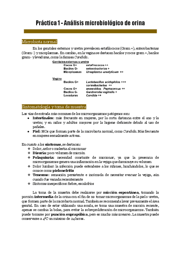 Miniatura del documento Practicas-Microbiologia-Clinica-resumen-1.pdf