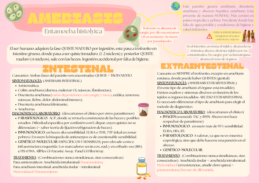 Miniatura del documento PARASITOLOGIA-clinica-ESQUEMAS-TODOS-LOS-PARASITOS.pdf