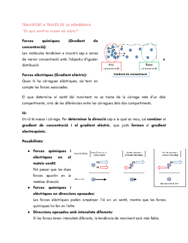 Miniatura del documento Tema-2-Excitabilitat-i-conductivitat-neuronal.pdf