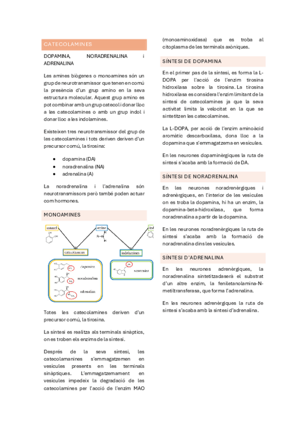 Miniatura del documento NORADRENALINA-DOPAMINA-I-ADRENALINA-Copy.pdf