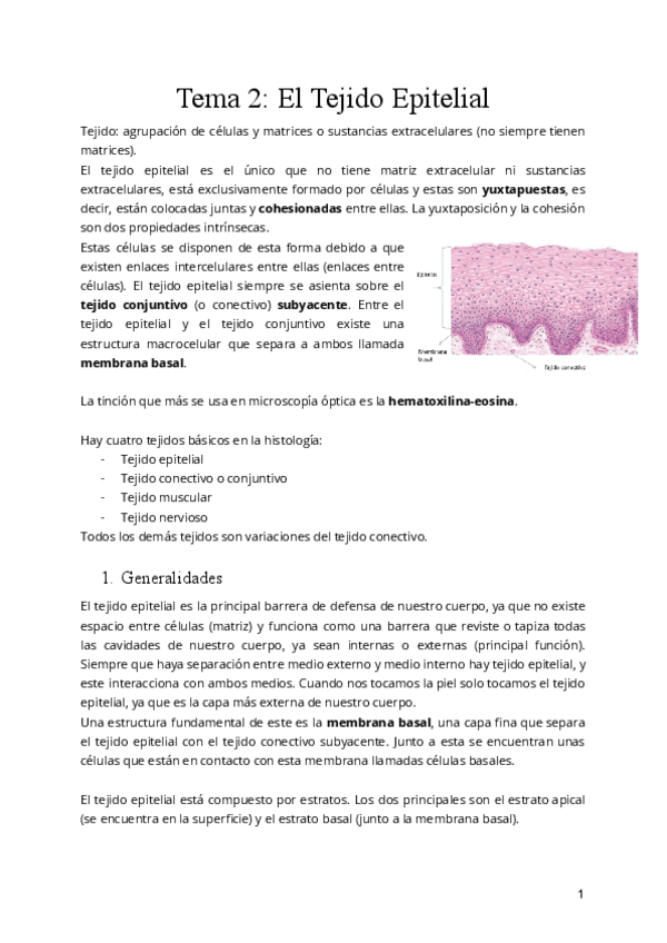 Miniatura del documento Tema-2-El-Tejido-Epitelial.pdf