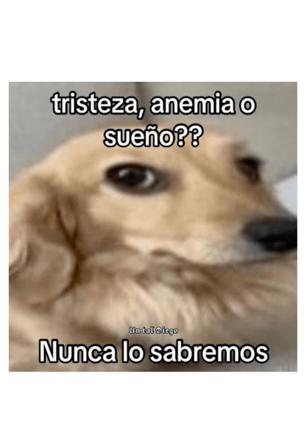 Miniatura del documento cosas-importantes-test-actualidad.pdf