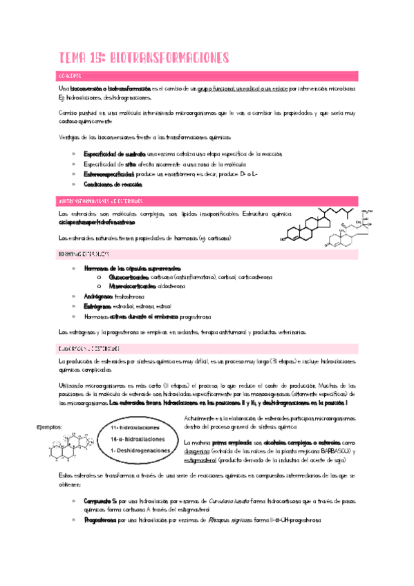Miniatura del documento Tema15Ampli.pdf