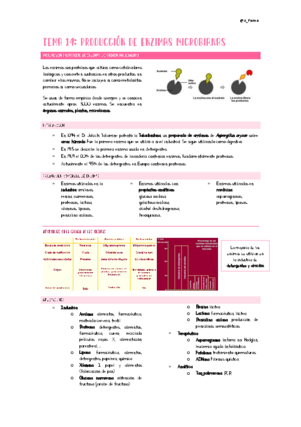Miniatura del documento Tema14Ampli.pdf