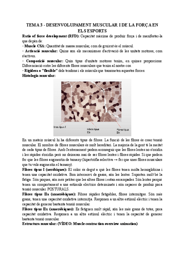 Miniatura del documento TEMA-3-DESENVOLUPAMENT-MUSCULAR-I-DE-LA-FORCA-EN-ELS-ESPORTS.pdf