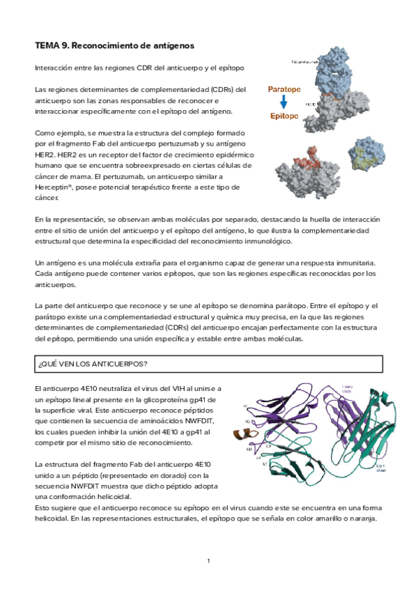 Miniatura del documento TEMA-9Reconocimiento-de-antigenos.pdf