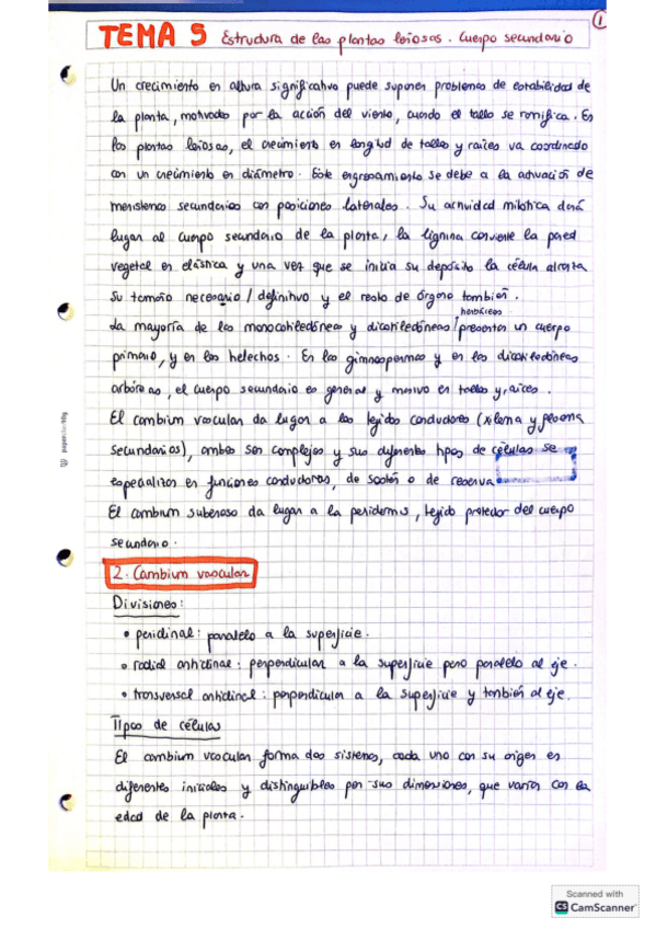 Miniatura del documento CamScanner-11-10-25-17.41.pdf