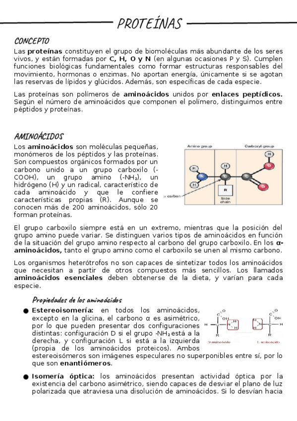 Miniatura del documento Copia-de-Proteinas-resumen.docx