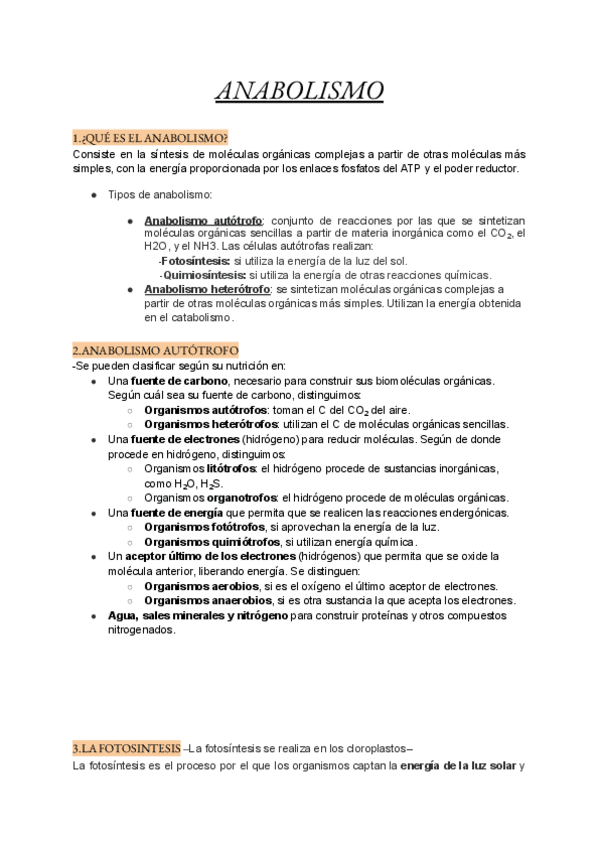 Miniatura del documento Anabolismo.pdf