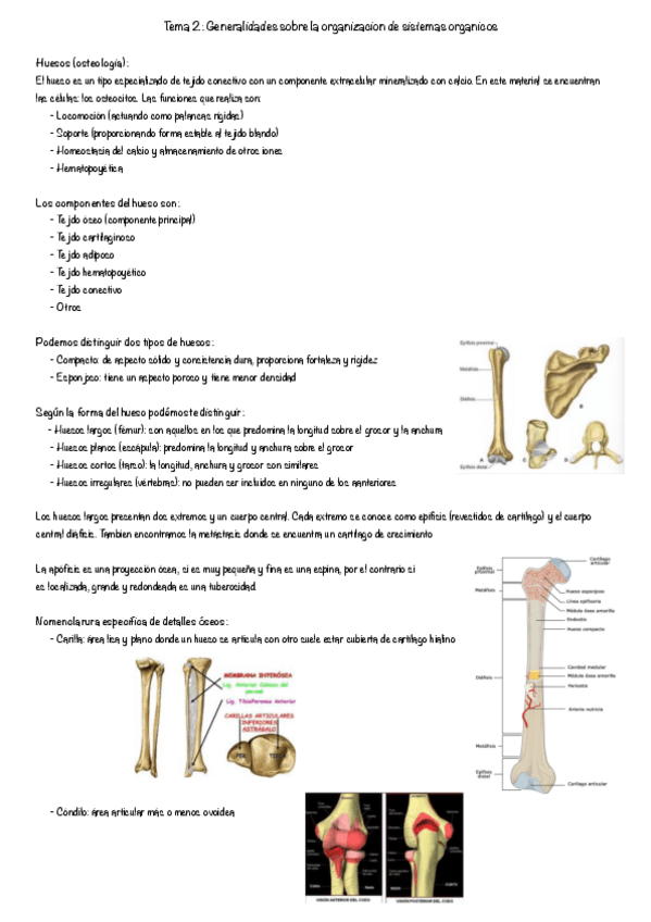 Miniatura del documento Tema-2.-Generalidades-de-los-sistemas.pdf