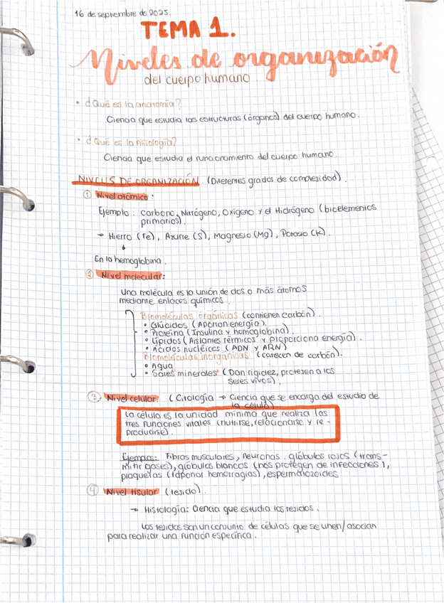 Miniatura del documento ORGANIZACION-DEL-CUERPO-HUMANO-TEMA-COMPLETO.pdf