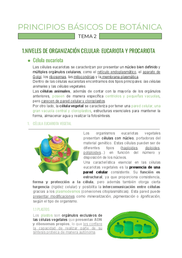 Miniatura del documento TEMA-2-BOTANICA-principios-basicos-de-botanica.pdf