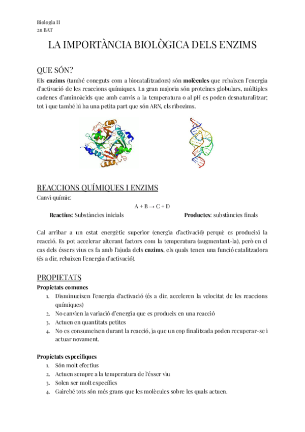 Miniatura del documento 2n-BAT-LA-IMPORTANCIA-BIOLOGICA-DELS-ENZIMS.pdf