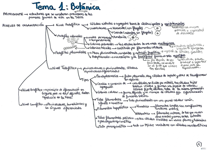 Miniatura del documento Tema-1-Botanica.pdf