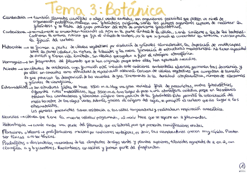 Miniatura del documento Tema-3-botanica.pdf