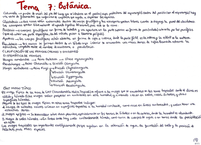 Miniatura del documento Tema-7-Botanica.pdf