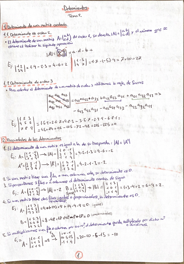 Miniatura del documento determinantes-apuntes.pdf