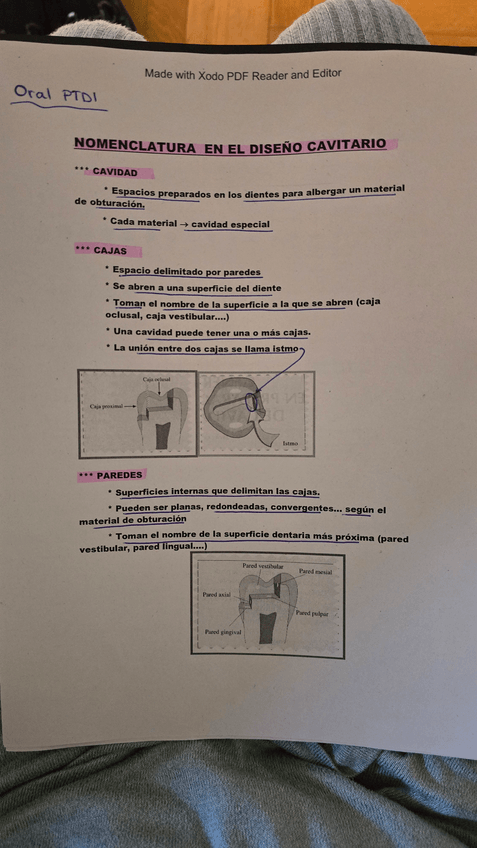 Miniatura del documento ORAL-PTD-I.pdf