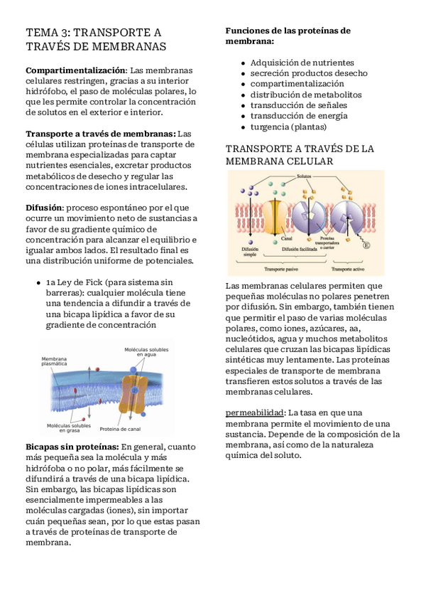 Miniatura del documento Apuntes-tema-3.pdf