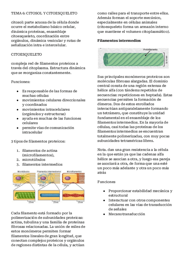 Miniatura del documento Apuntes-tema-6.pdf