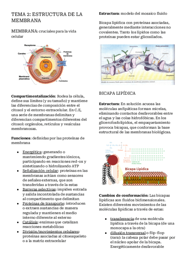 Miniatura del documento Apuntes-tema-2.pdf