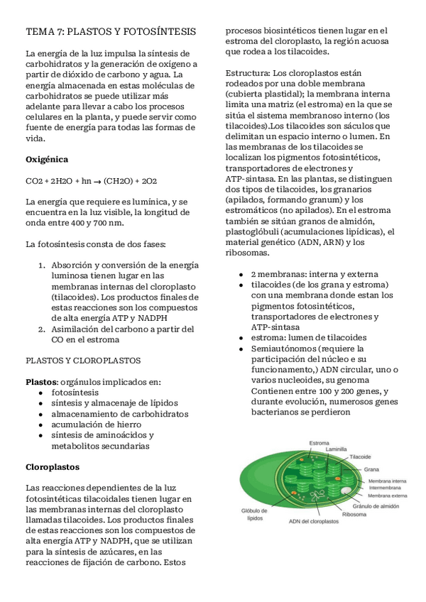 Miniatura del documento Apuntes-tema-7-bio.pdf