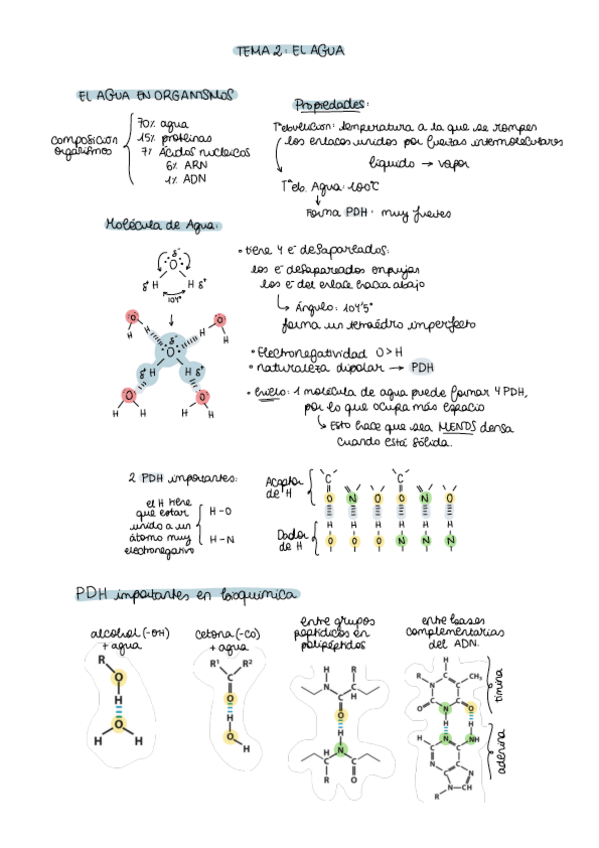 Miniatura del documento Apuntes-tema-2-agua.pdf