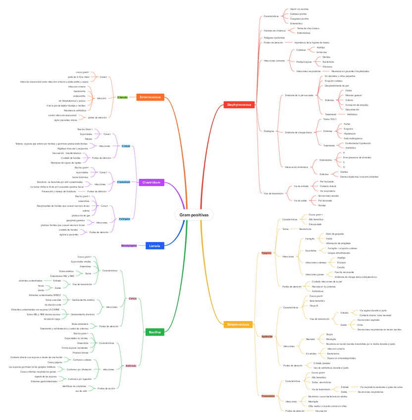 Miniatura del documento Gram-positivas.pdf