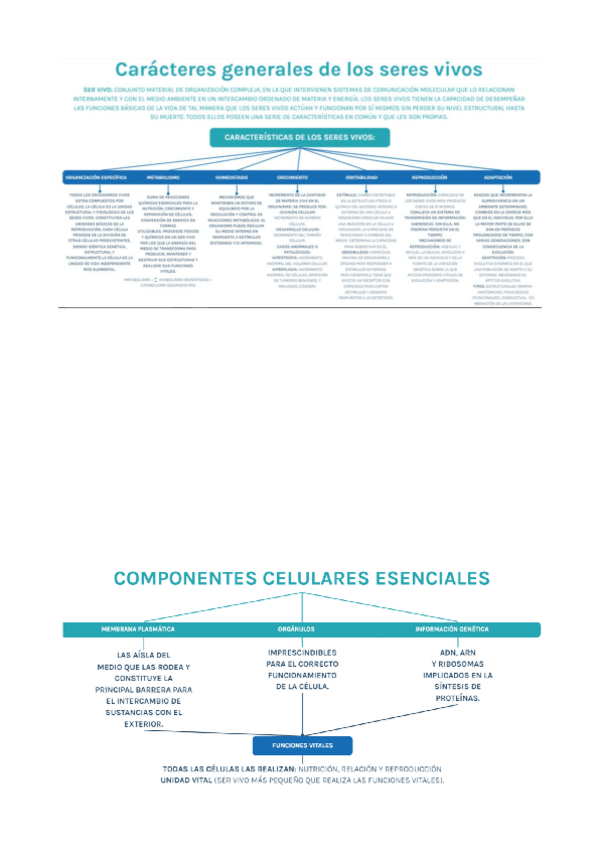 Miniatura del documento 1a-parte-esquemas-biologia.pdf