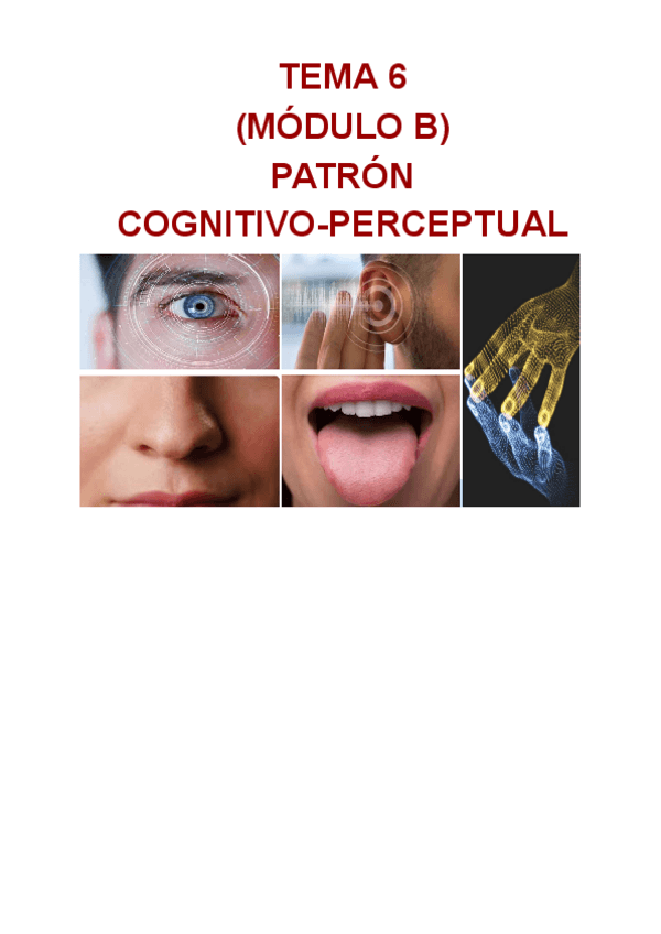 Miniatura del documento T.6-MODULO-B-PATRON-COGNITIVO-PERCEPTUAL.pdf