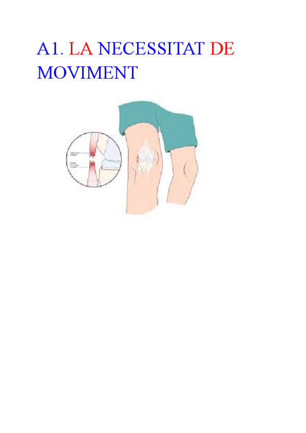Miniatura del documento A1.-LA-NECESSITAT-DE-MOVIMENT.pdf