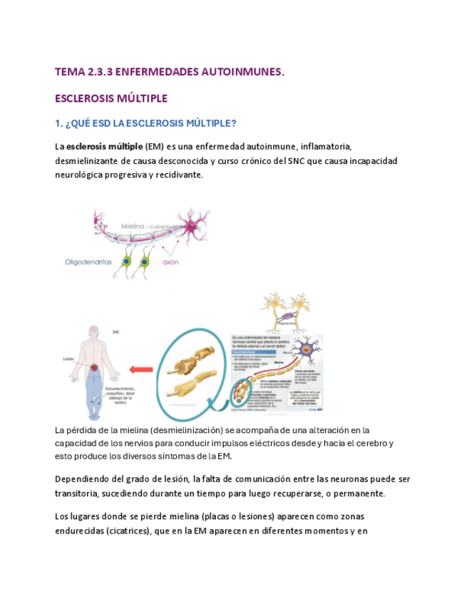 Miniatura del documento TEMA-2.3.3.pdf