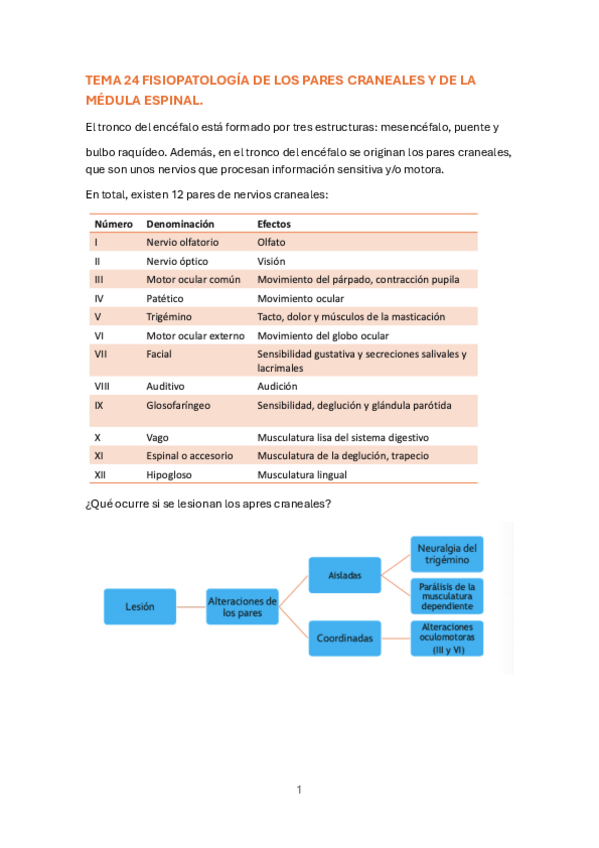 Miniatura del documento TEMA-24-FISIOPATOLOGIA-DE-LOS-PARES-CRANEALES-Y-DE-LA-MEDULA-ESPINAL.pdf