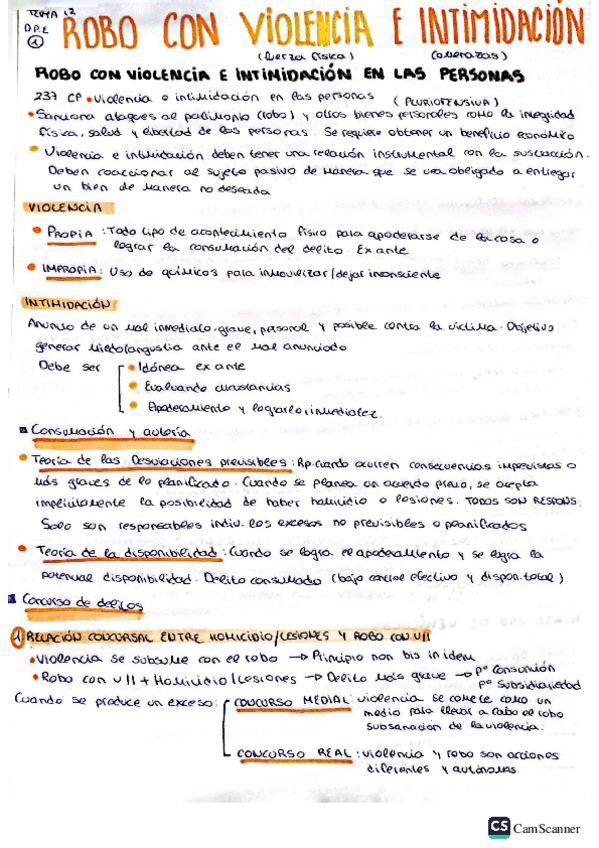 Miniatura del documento Robo-con-violencia-e-intimidacion.pdf