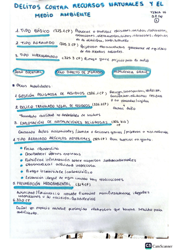 Miniatura del documento Delitos-contra-recursos-naturales-y-el-MA.pdf