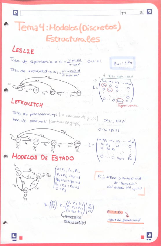 Miniatura del documento Tema-4-modelos-estructurales.pdf