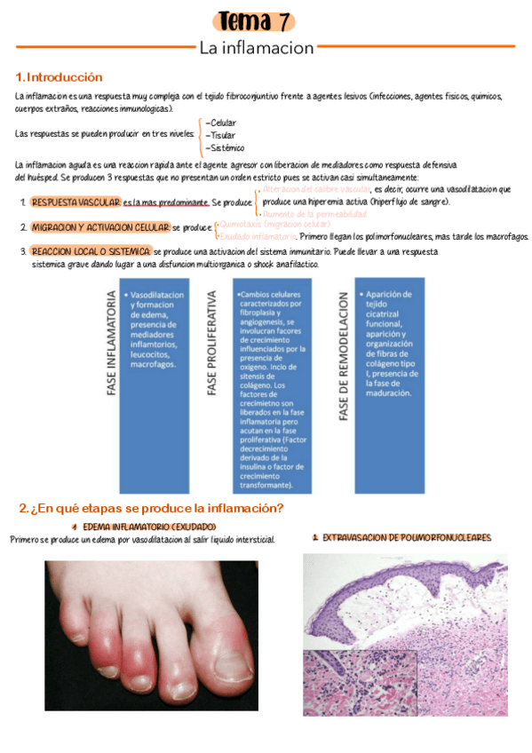 Miniatura del documento Tema-7.pdf