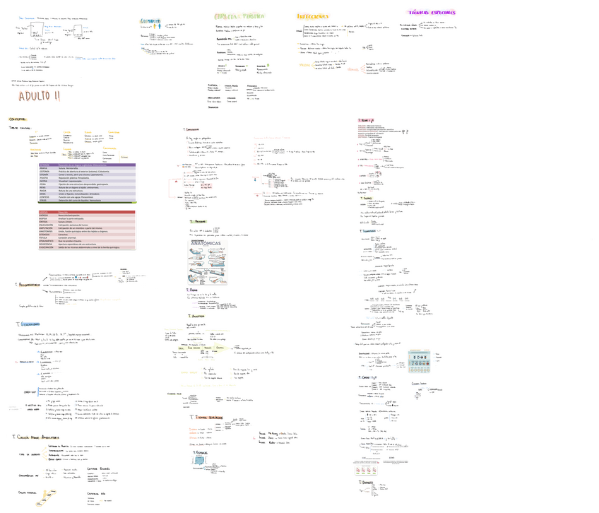Miniatura del documento TODO-ADULTO-II.pdf