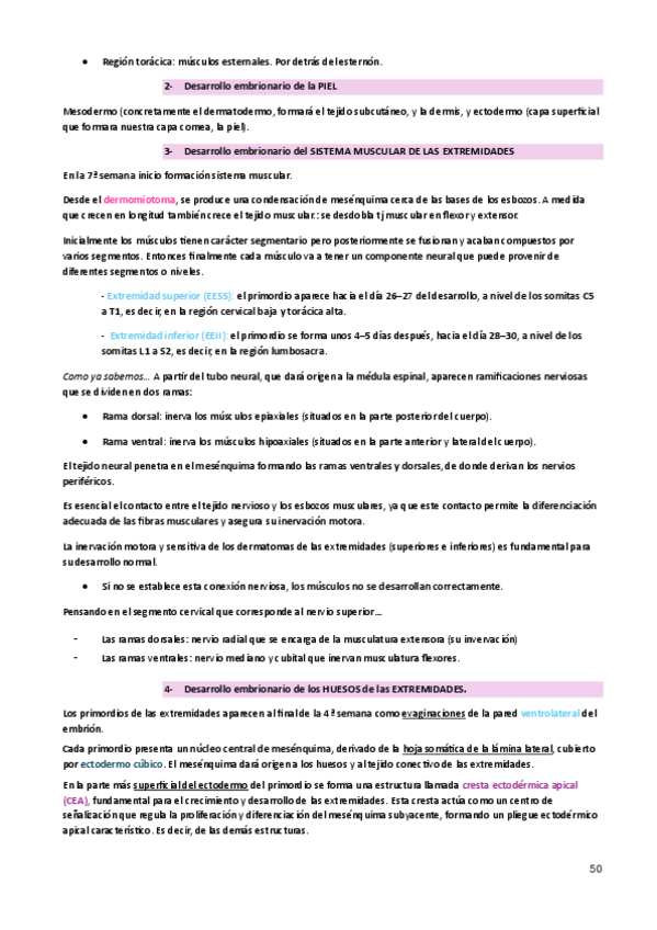 Miniatura del documento tema-6-Desarrollo-embrionario-de-la-musculatura-del-tronco.-Desarrollo-de-las-extremidades..pdf